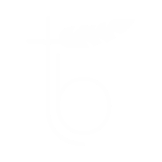 B2B Thais Bernardes Gioielli