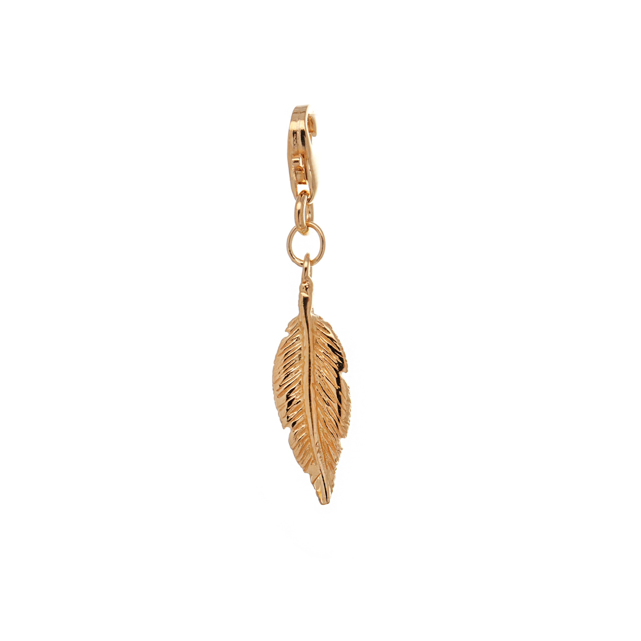 Charm Piuma