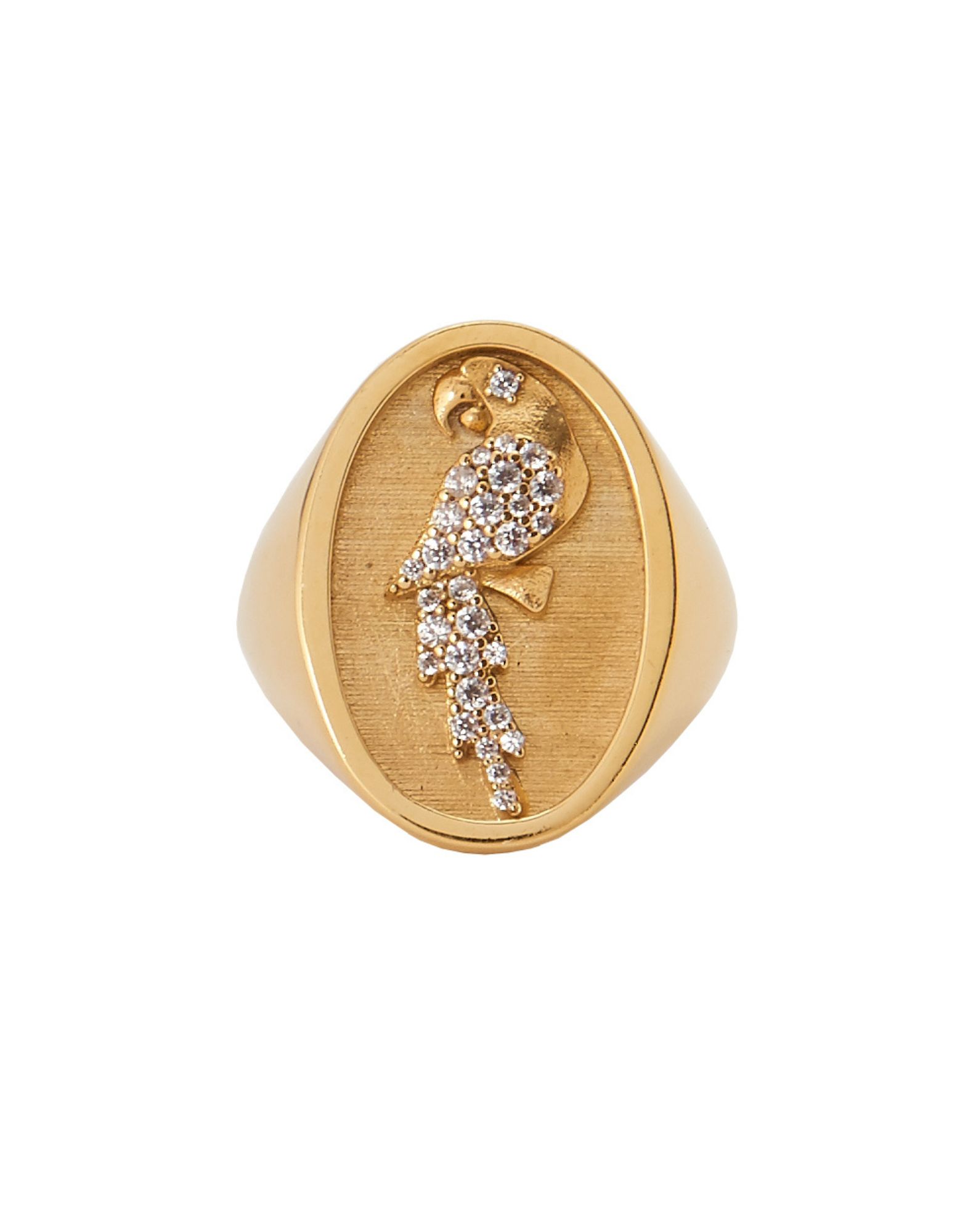 Anello Chevalier Pappagallo
